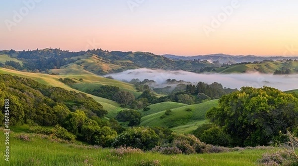 Fototapeta Serene Dawn Over Misty Rolling Hills - A Tranquil Landscape View with Soft Pastel Hues of Nature's Beauty
