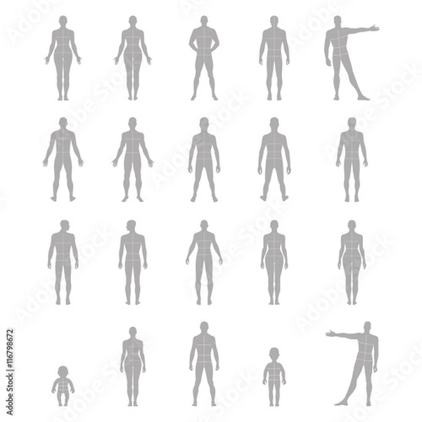 Fototapeta Full length front, back human silhouette set with marked body's