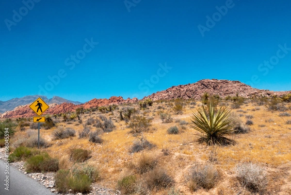 Obraz Drive in the desert