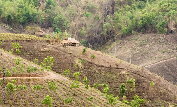 Obraz The small cottage