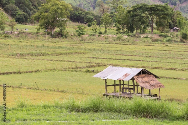 Obraz Peasant's hut