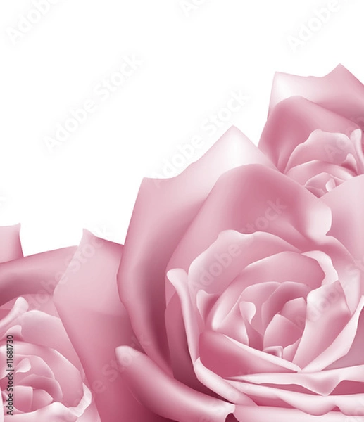 Obraz Pink Roses