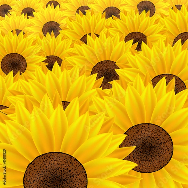 Obraz SunflowerCorner