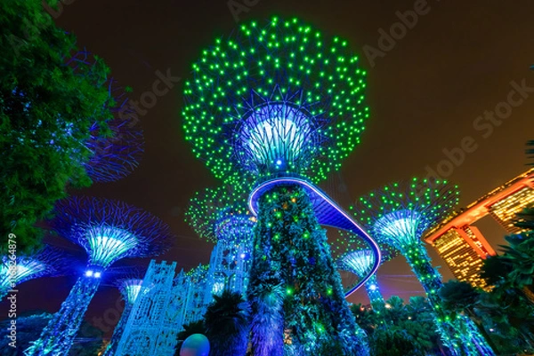 Fototapeta シンガポールのガーデンズバイザベイで見た、青や緑にライトアップされるスーパーツリーグローブ