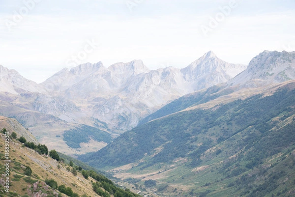 Fototapeta Selva de Oza