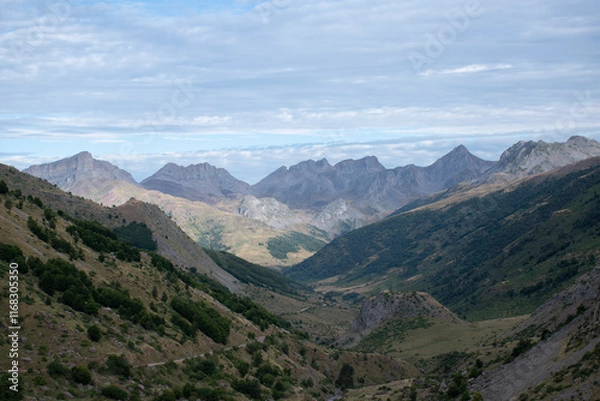 Fototapeta Selva de Oza
