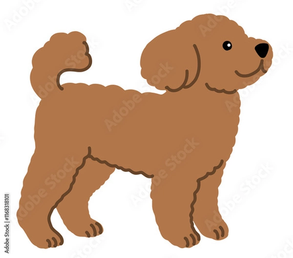 Obraz トイプードルのイラスト