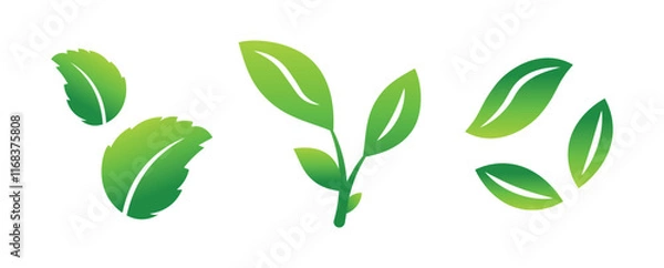 Fototapeta Vector icons of leaves. The theme of ecology, nutrition, cosmetology. Set of green leaves.
