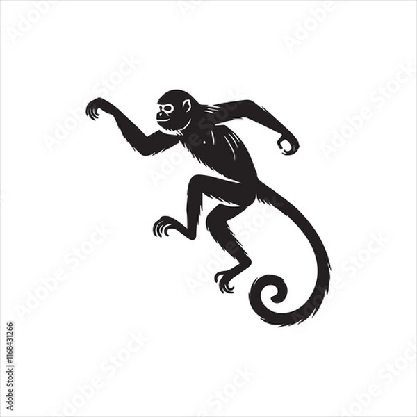 Fototapeta silhouette of a jumping Monkey