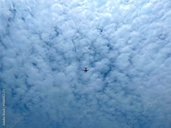 Obraz clouds in the sky