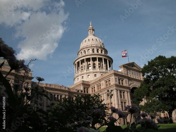 Obraz texas capitol between trees