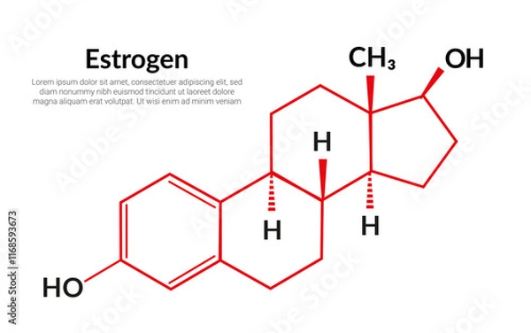 Obraz Estrogen sex hormone molecular structure formula, suitable for education or chemistry science content