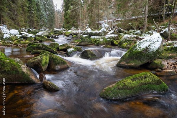 Fototapeta forest wild stream full of big stones covered with green moss and dusted with the first snow