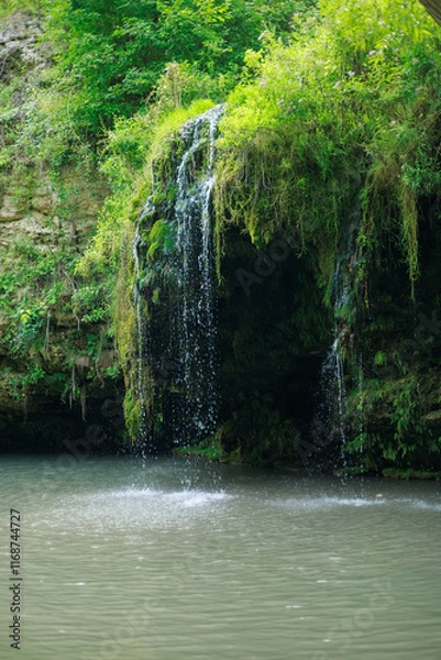 Obraz waterfall in the forest