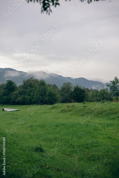 Obraz landscape in the mountains