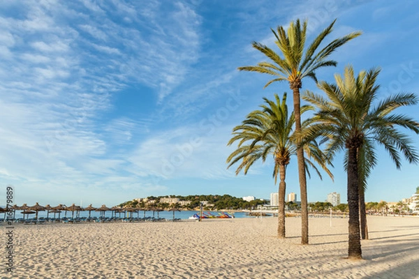 Fototapeta Beach with palm trees