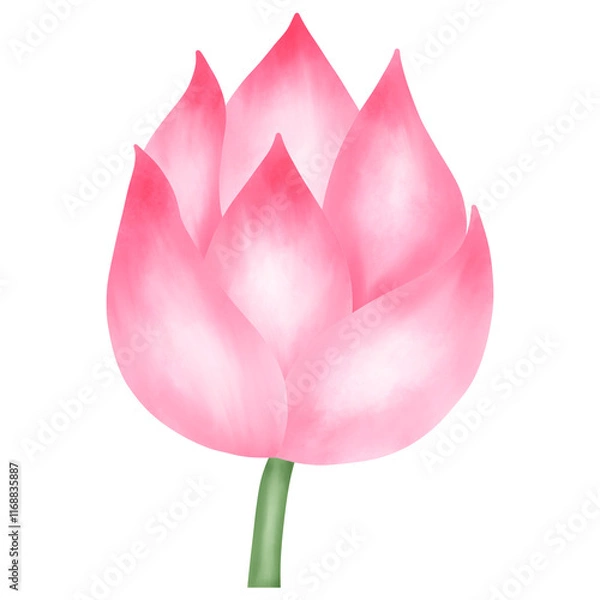 Obraz pink lotus flower