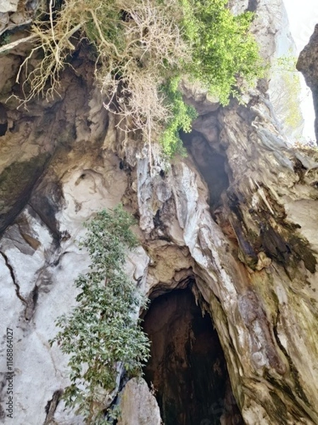 Obraz The entrance to the ancient cave has trees growing naturally in Thailand.