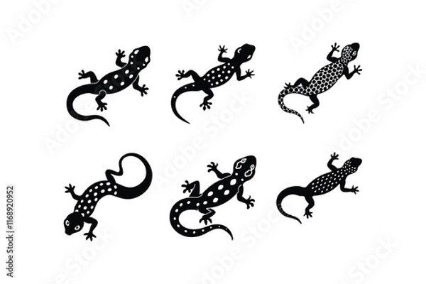Fototapeta "Set of Silhouette Leopard Gecko Vector Illustration"

