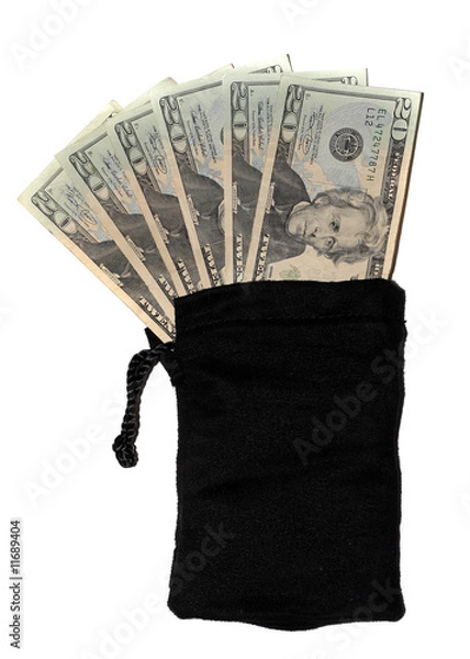 Obraz money bag