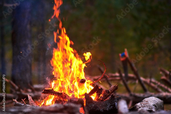 Fototapeta Captivating image of a vibrant bonfire, with flames dancing against the night sky