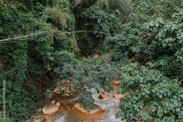 Obraz tree, river and rock