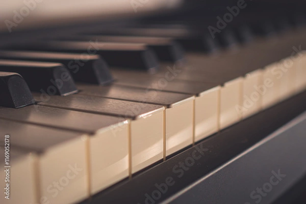 Fototapeta A digital piano keyboard close-up