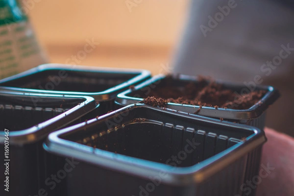 Fototapeta A close up of soil in small containers for planting sprouts while gardening