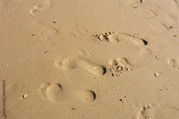 Obraz Spuren im Sand