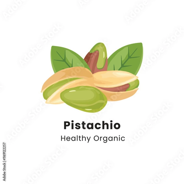Fototapeta Hand drawn vector illustration of pistachio nuts on a white background