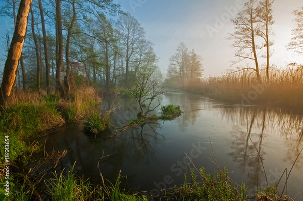 Fototapeta Rzeka Rawka o poranku