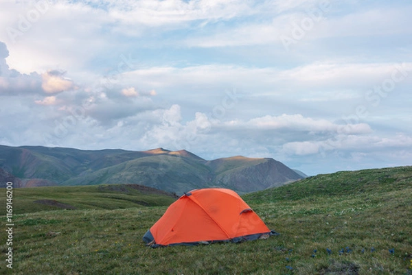 Fototapeta Vivid orange tent on grassy flowering hill with view to high multicolor mountain under cloudy sky. Sunlit mountain tops of sunset colors in changeable weather. Twilight landscape with colorful tops.