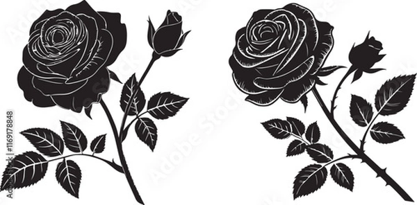Obraz rose-silhouette-vector