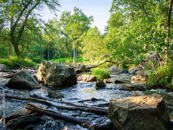 Obraz Rocky stream in Spring