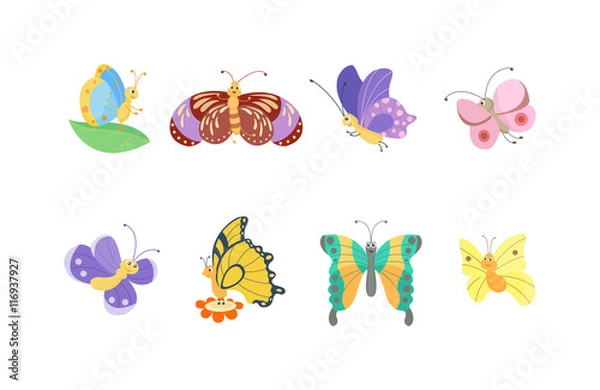 Fototapeta Cute butterfly vector isolated on white