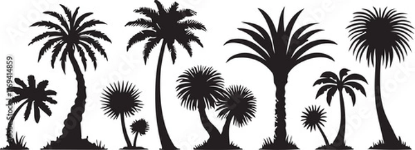 Fototapeta A silhouette of three palm trees black