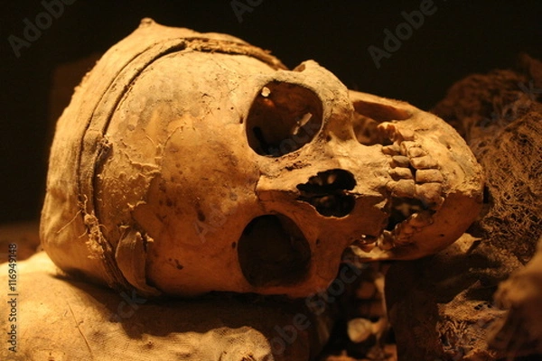 Obraz Real human ancient scull
