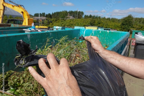 Obraz Person tipping garden waste into a recycling bin, recycling centre