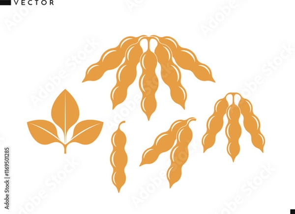 Obraz Soybean silhouette. Organic food sign. Isolated soybean on white background