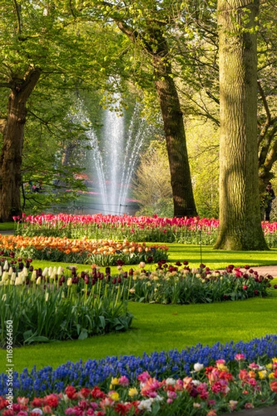 Obraz tulips in the spring park