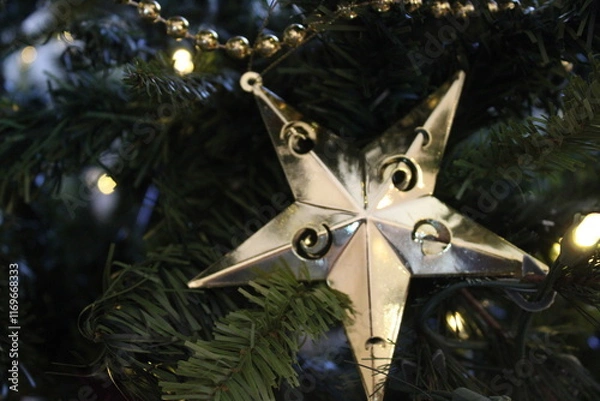 Obraz Gold Christmas Star