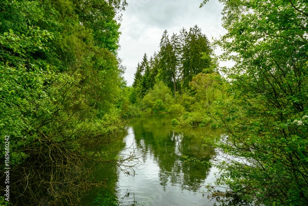 Obraz Quiet lake in Pflach bird sanctuary, Austria