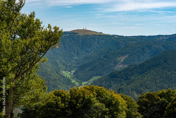 Obraz View to the Feldberg, the highest elevation in the Black Forest