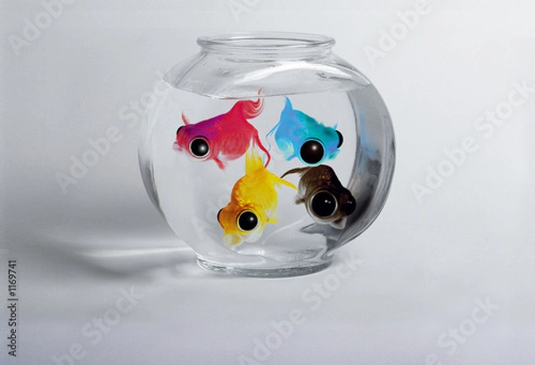 Obraz CMJN Fish