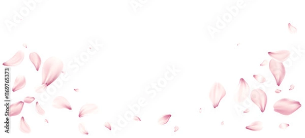 Fototapeta Delicate Pink Cherry Blossom Flowers Petals Floating Gracefully on the White Background. Soft pink petals scattered elegantly on a white background. Vector illustration