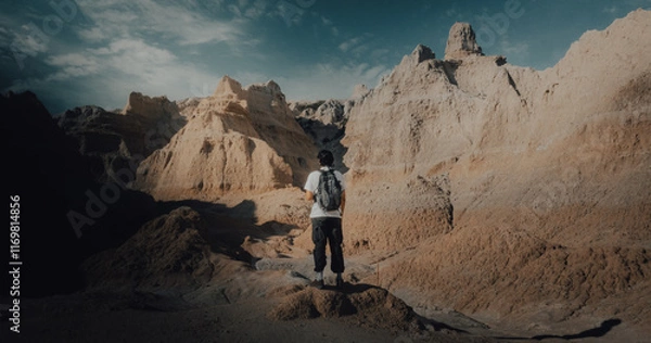 Obraz Lost in the badlands