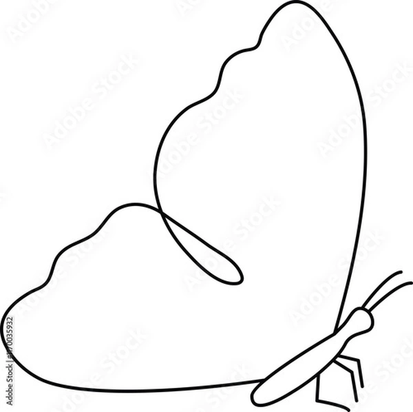 Fototapeta Butterfly Continuous One Line Drawing