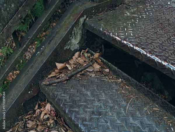 Fototapeta 落ち葉が溜まった階段