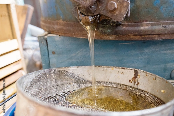 Fototapeta Honey flows from honey extractor through sieve