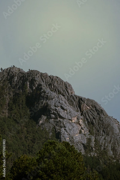 Obraz Roadside mountain view